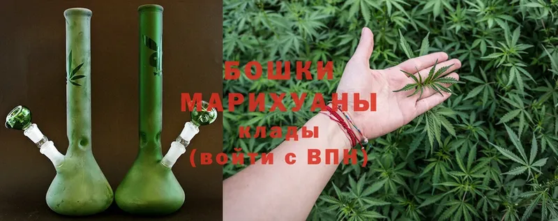 блэк спрут как войти  купить  цена  Аркадак  Шишки марихуана план 